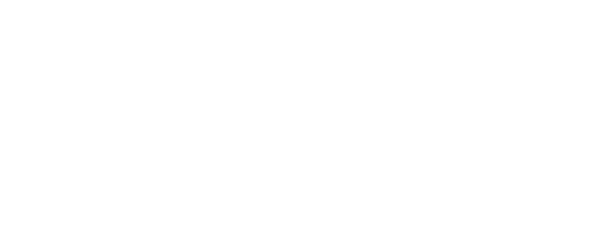 E-Skate Pro
